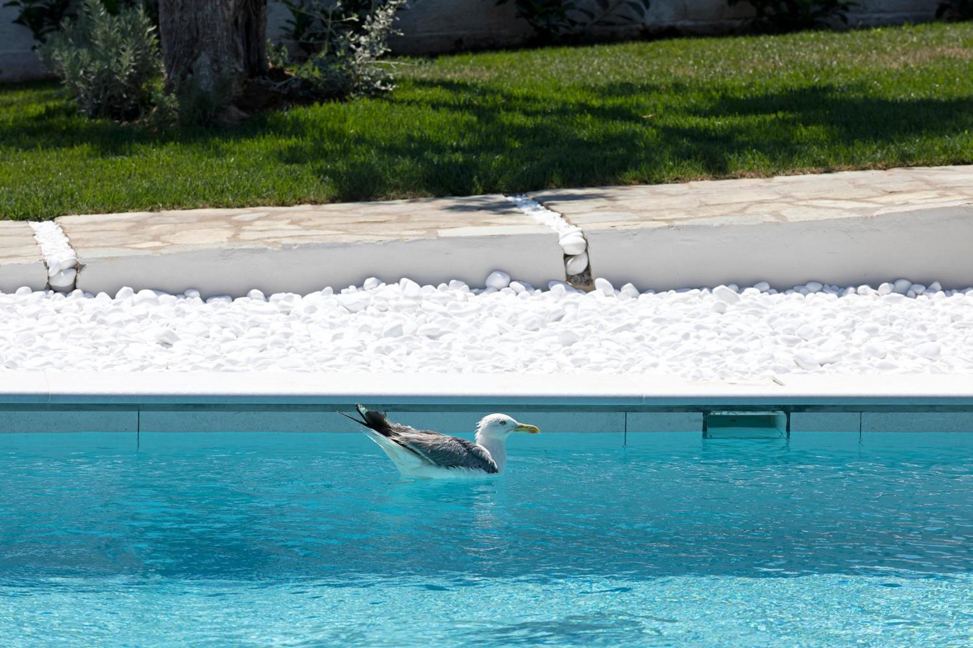 Lichnos Luxury Suites Sourpi Exterior foto